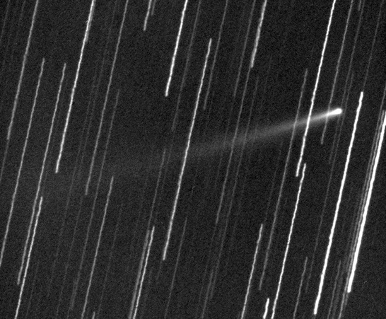 Gambar 1. Komet 209 P/LINEAR, diabadikan pada 26 Mei 2014 oleh Gianluca Masi. Komet diabadikan teleskop yang dikunci untuk mengikuti pergerakan komet tersebut dalam waktu tertentu. Citra demi citranya lantas ditumpuk (stack) menjadi satu lewat olah citra fotografis, sehingga bintang-bintang yang ada di latar belakangnya nampak seperti garis-garis lurus. Teknik olah citra ini dilakukan karena komet ini sangat redup, meski ia hendak melintas-dekat ke Bumi. Masi, 2014. 