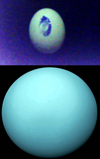 Gambar 5. Carilah persamaannya. Telur bebek (atas) dan planet Uranus (bawah) sama-sama menampakkan warna aqua, atau biru kehijauan, atau biru telur. Sumber: Sudibyo, 2014; NASA, 1986.