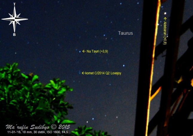 Gambar 5. Komet C/2014 Q2 Lovejoy menggantung di langit barat dengan latar depan pohon mangga, pada observasi hari ketiga. Diabadikan dengan Nikon D60 dan diolah dengan GIMP 2. Sumber: Sudibyo, 2015. 